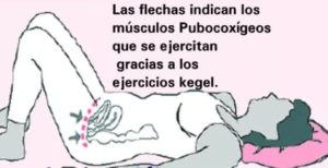 ejercicios kegel